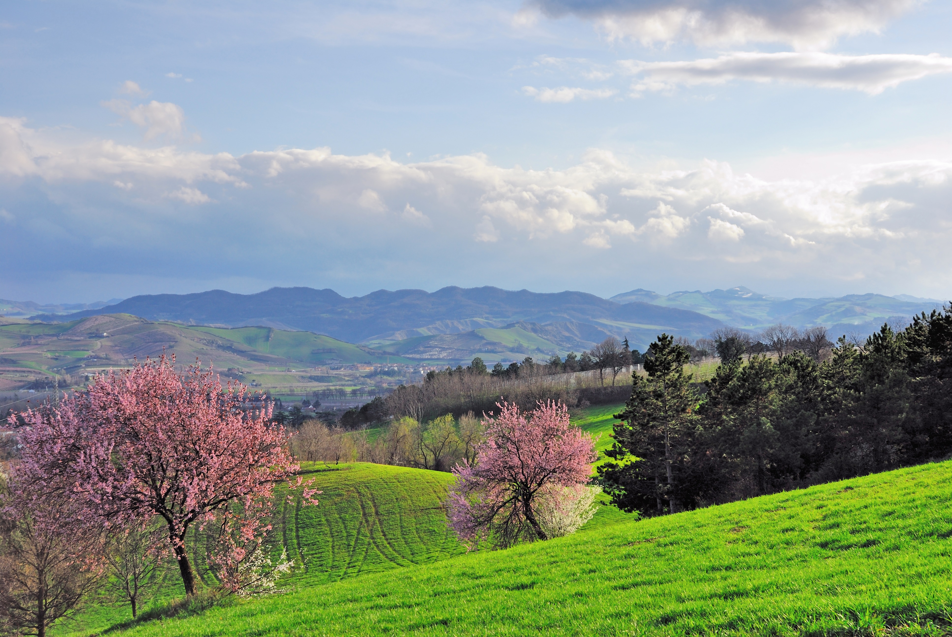 Imola and the Santerno Valley: engineering, history and gastronomy - Bertazzoni